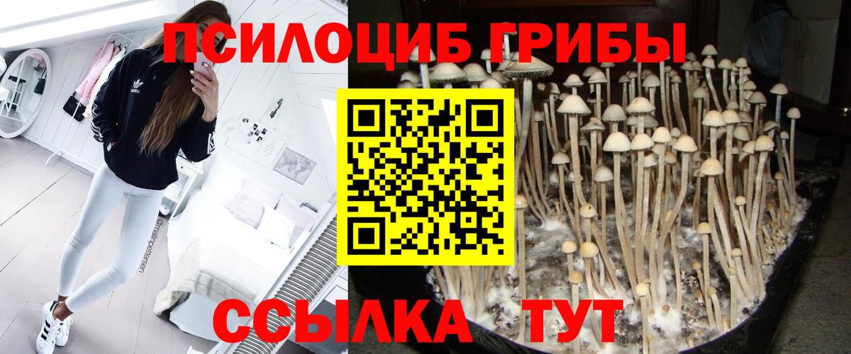 Псилоцибиновые грибы ЛСД Родники